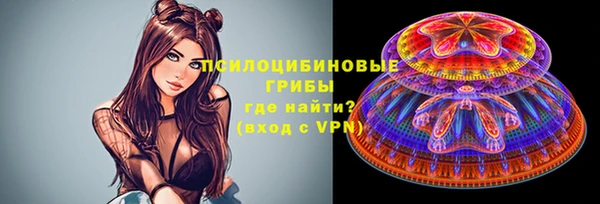 прущие грибы Анжеро-Судженск