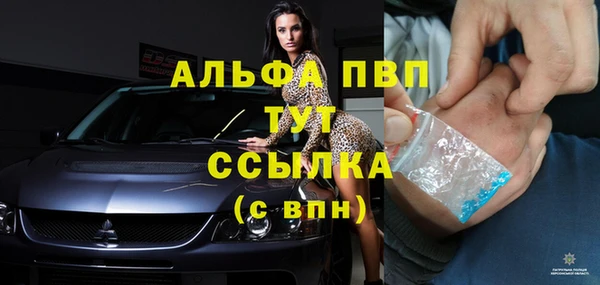 прущие крисы Богданович