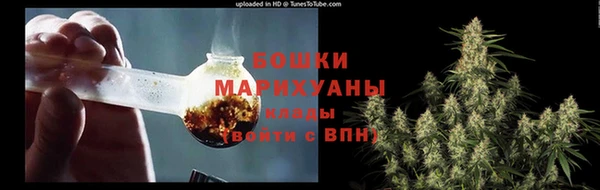 стаф Богородицк