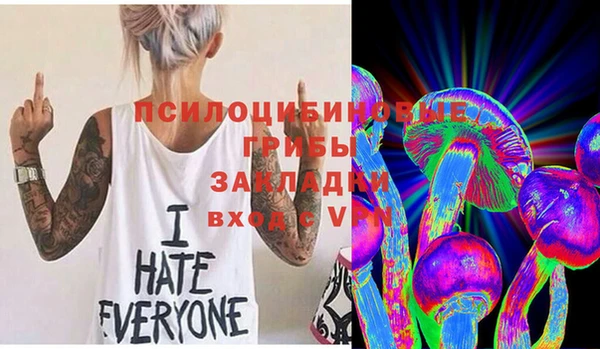 стаф Богородицк