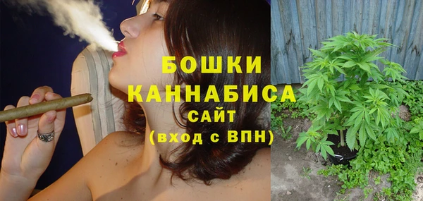 стаф Богородицк
