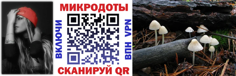 Галлюциногенные грибы прущие грибы гидра как войти Улан-Удэ дарнет шоп
